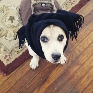 Meet your Posher, Kim